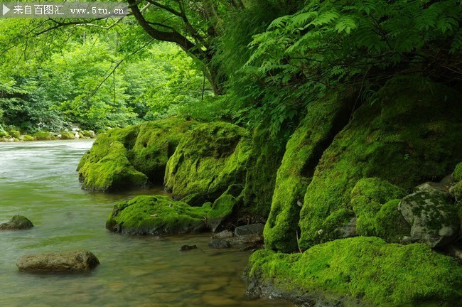 绿色大自然自然风景