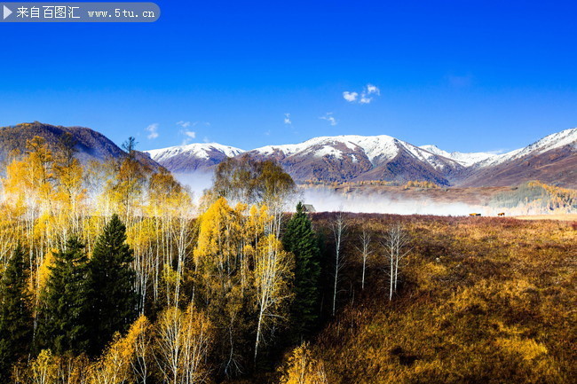 北疆雪山图片