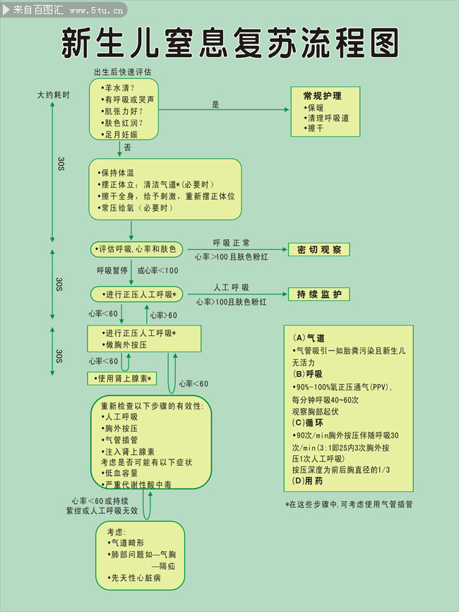 新生儿窒息复苏流程图片