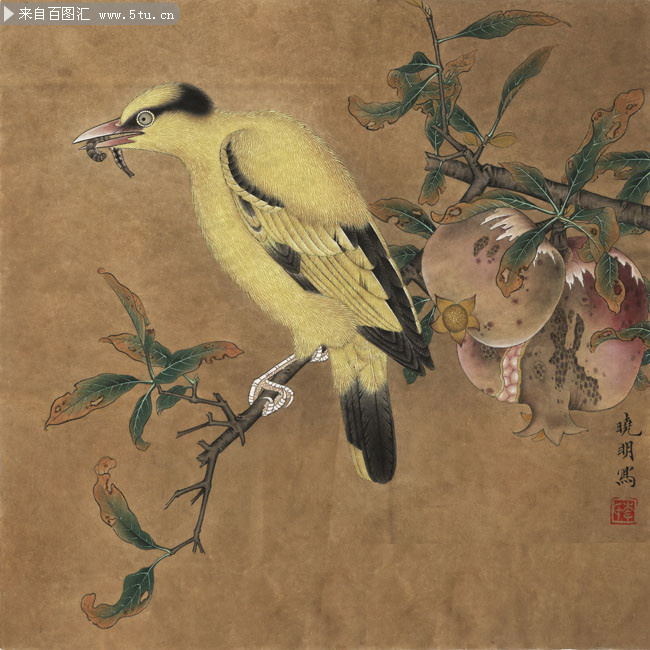 李晓明 花鸟 石榴小鸟