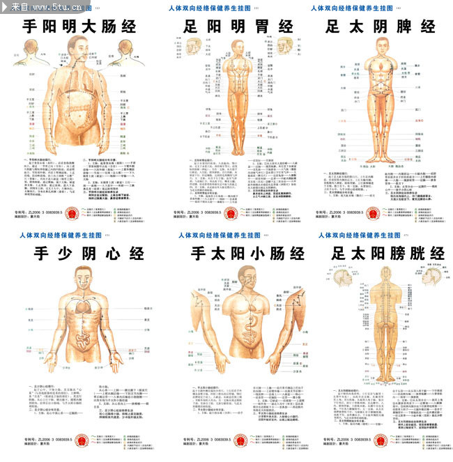 人体穴位解说图_其它PSD_psd分层素材_百图