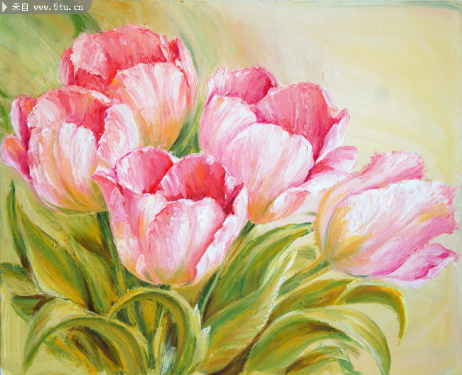 粉红郁金香花朵油画作品高清图片素材