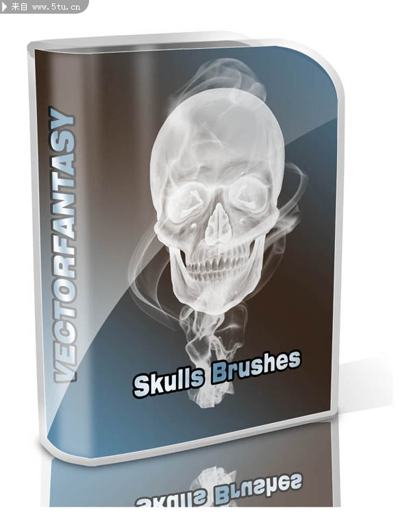 skulls brushes ecover.jpg