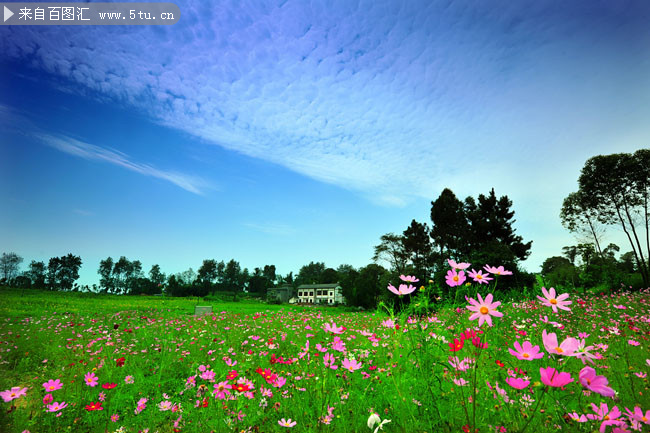 农村自然风景图片素材