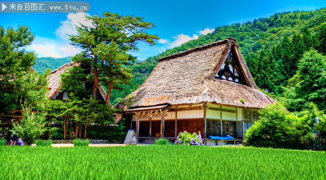 乡村茅草屋高清图片素材