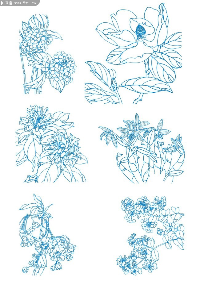 白描花-矢量素材-百圖匯設計素材