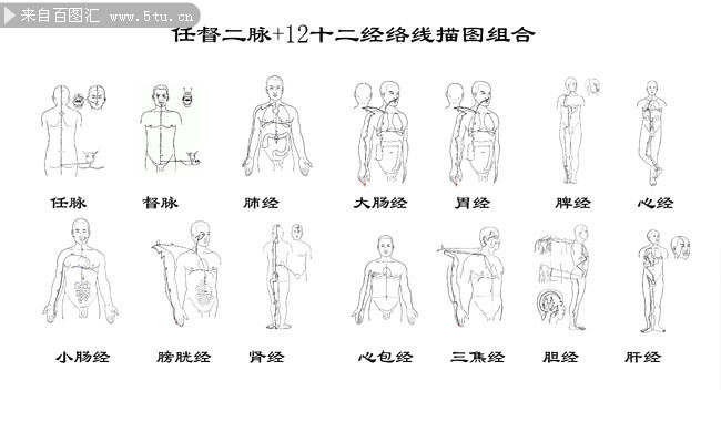 03 十二經絡線描圖psd分層素材